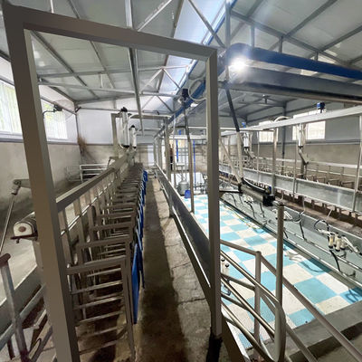 Calha de alimentação da sala de estar de ordenha de desenhos em espinha da cabra SUS304 tipo rápido encanamento da saída
