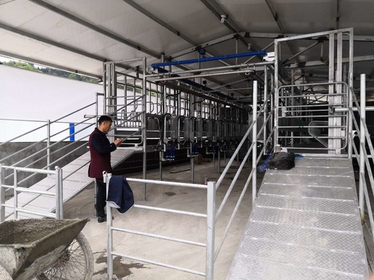 Sala de estar de ordenha da cabra SS304 que ordenha o equipamento da cabra da leiteria dos sistemas