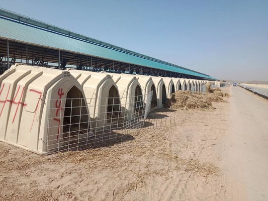 A vitela plástica do ISO dos rebanhos animais protege a gaiola poli da vitela da abóbada